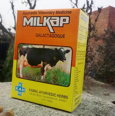 Milkap galactagogue