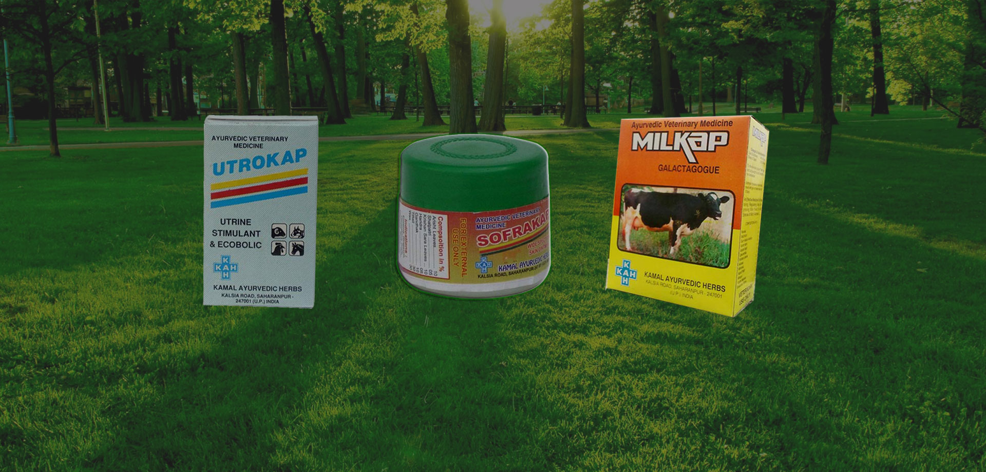ayurvedic veterinary medicine in Saharanpur