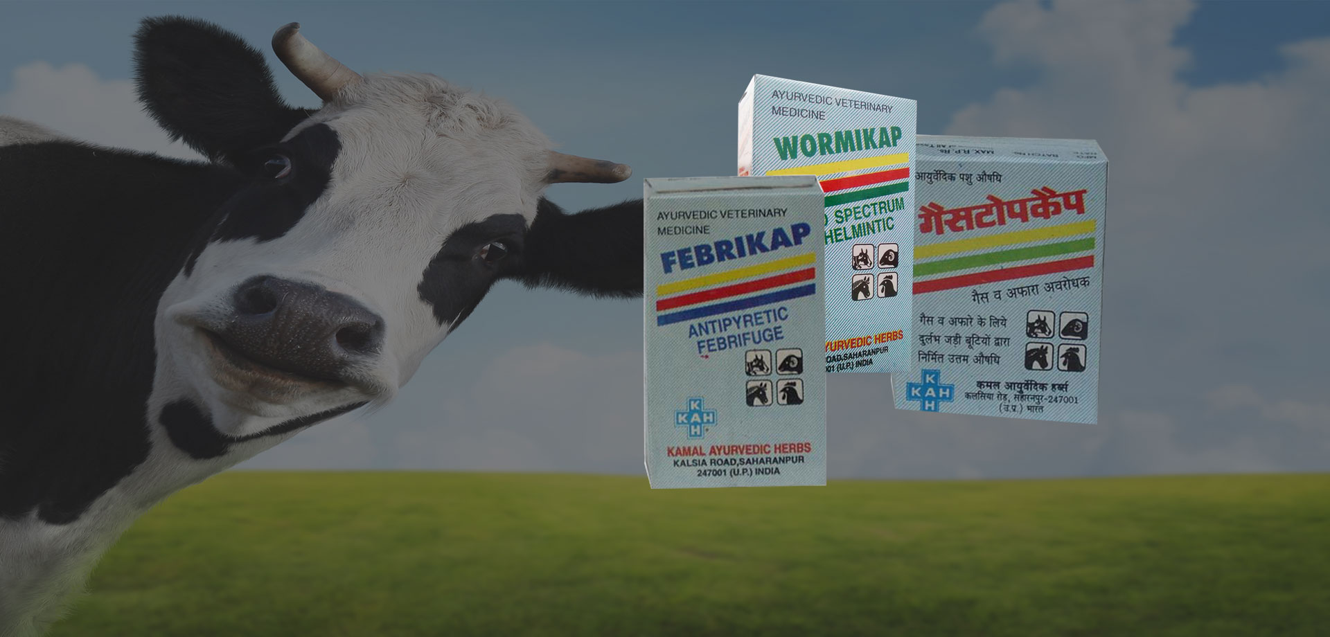 broad spectrum anthelmintic